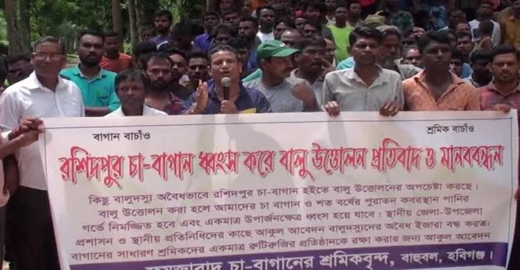 হবিগঞ্জে বাগান থেকে বালু উত্তোলনের প্রতিবাদে চা শ্রমিকদের বিক্ষোভ